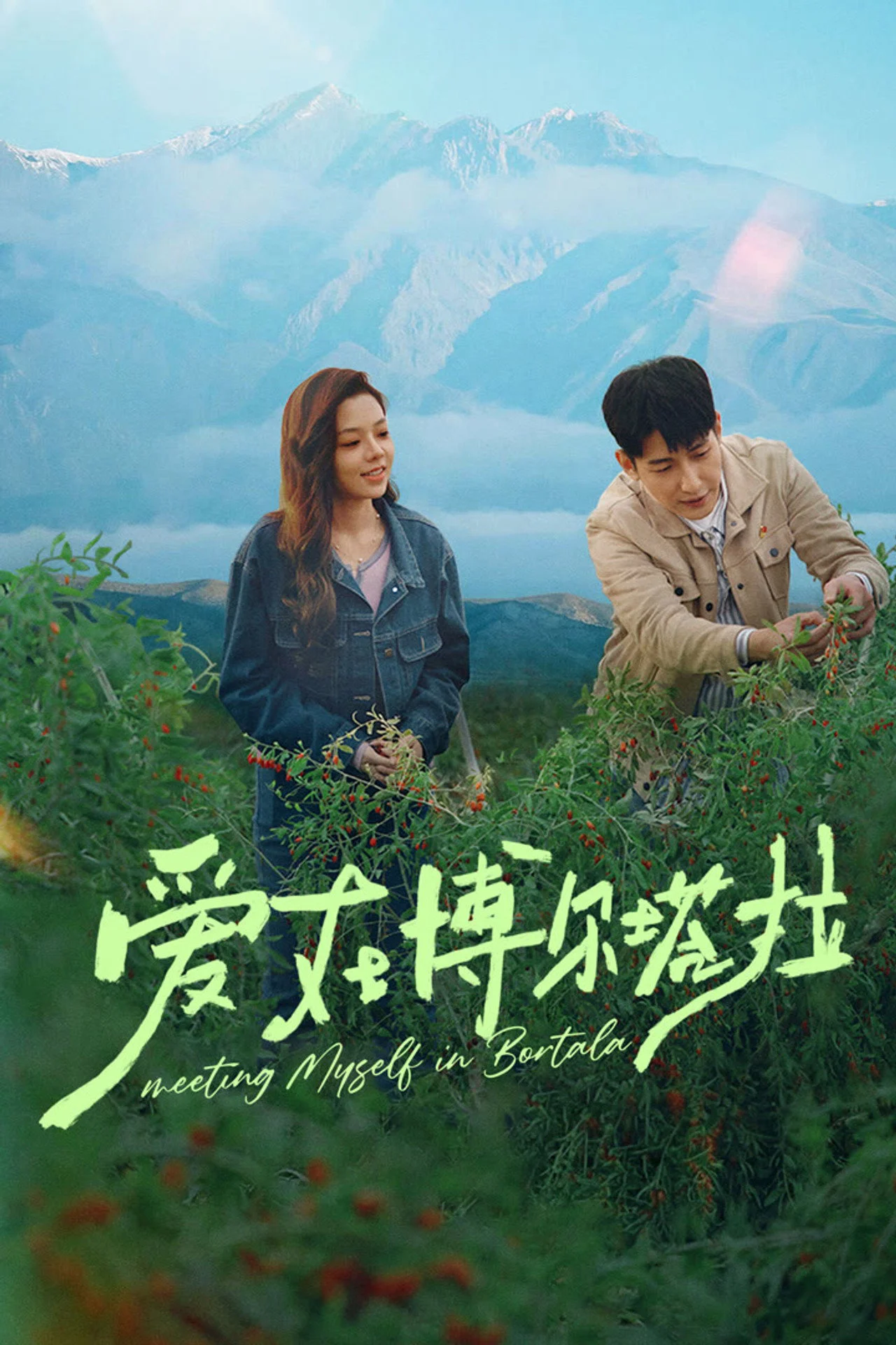 Xem Phim Tình Yêu Ở Bortala